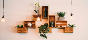 How I Started My eCommerce Shop